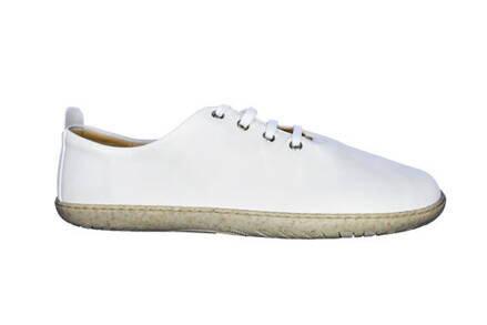 Alk Bio White